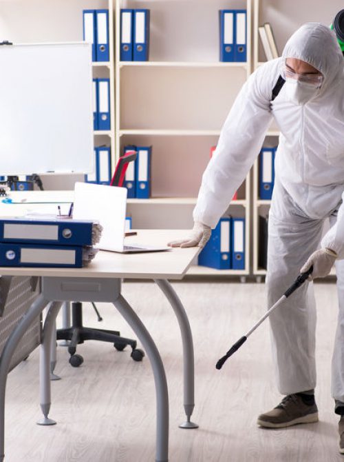 Professional contractor doing pest control at office Professional contractor doing pest control at office